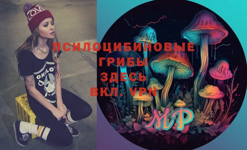 Галлюциногенные грибы MAGIC MUSHROOMS  как найти   Порхов 